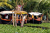 Kerala backwaters, travelling the neighborhood by public ferry service from  Alleppey to Kumbakonam. 